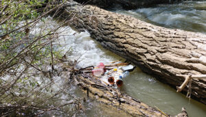 El PSOE califica de “nefasta” la gestión de Guarinos con el Henares y denuncia su “estado de abandono por la ineficacia de su gobierno”
