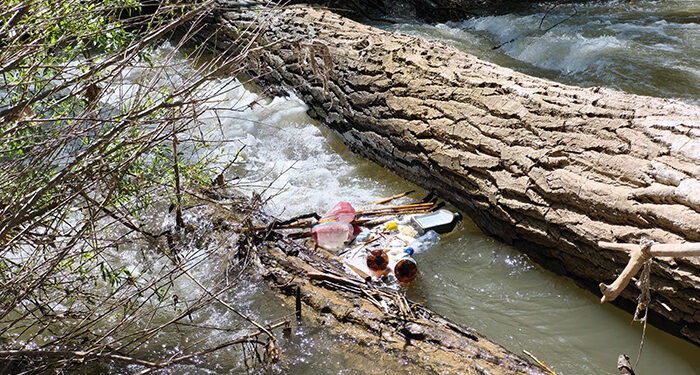 El PSOE califica de “nefasta” la gestión de Guarinos con el Henares y denuncia su “estado de abandono por la ineficacia de su gobierno” 1 El PSOE califica de “nefasta” la gestión de Guarinos con el Henares y denuncia su “estado de abandono por la ineficacia de su gobierno”