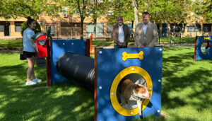 El parque de Siglo XXI de Cuenca, que estrena área canina, contará con un parque infantil