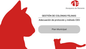 Entra en servicio la sección sobre colonias felinas de Azuqueca en la web municipal