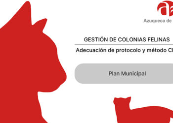Entra en servicio la sección sobre colonias felinas de Azuqueca en la web municipal