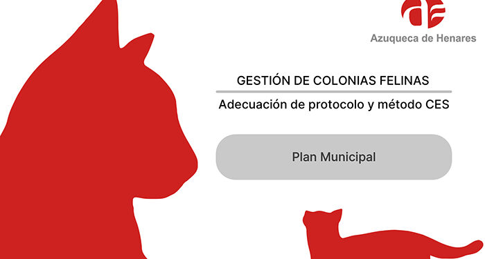 Entra en servicio la sección sobre colonias felinas de Azuqueca en la web municipal