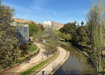 Finaliza la rehabilitación de la lámina fluvial del barranco del Alamín con sustitución de todos los vasos dañados Finaliza la rehabilitación de la lámina fluvial del barranco del Alamín con sustitución de todos los vasos dañados
