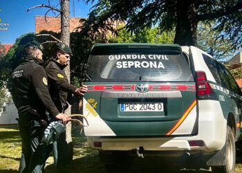 Guardia Civil