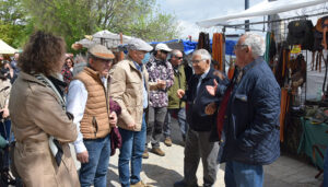 La Feria de la Caza y el Ocio de Campillo de Altobuey desafía a la lluvia y viene con novedades ecuestres y más de mil perros