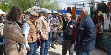 La Feria de la Caza y el Ocio de Campillo de Altobuey desafía a la lluvia y viene con novedades ecuestres y más de mil perros
