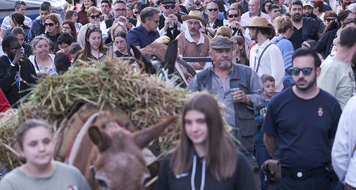 La Fiesta de la Espiga en Azuqueca, acto central de San Isidro, acabará en La Caja debido a la previsión de tormentas 1 La Fiesta de la Espiga en Azuqueca, acto central de San Isidro, acabará en La Caja debido a la previsión de tormentas