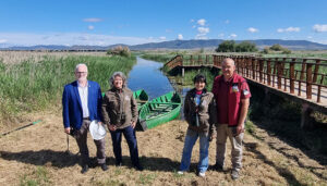 La Junta publica unas nuevas ayudas por valor de 600.000 euros para dinamizar la gestión forestal conjunta en los montes públicos de las entidades locales