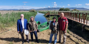 La Junta publica unas nuevas ayudas por valor de 600.000 euros para dinamizar la gestión forestal conjunta en los montes públicos de las entidades locales