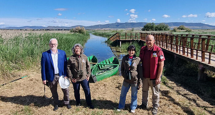 La Junta publica unas nuevas ayudas por valor de 600.000 euros para dinamizar la gestión forestal conjunta en los montes públicos de las entidades locales