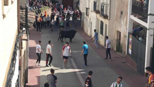 La VIII Edición de la Feria Chica Jadraqueña volverá este fin de semana