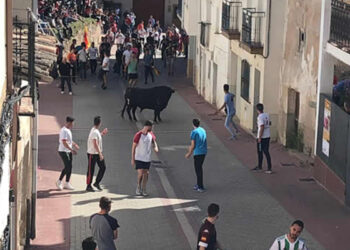 La VIII Edición de la Feria Chica Jadraqueña volverá este fin de semana