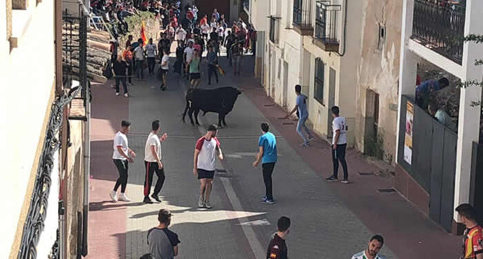 La VIII Edición de la Feria Chica Jadraqueña volverá este fin de semana 1 La VIII Edición de la Feria Chica Jadraqueña volverá este fin de semana