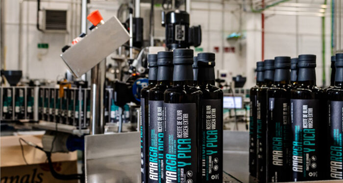 Oleoturismo en Granada despierta los sentidos entre olivares