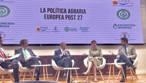 Rompiendo el Silencio de Cuenca