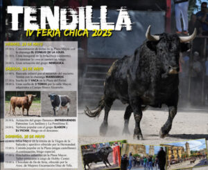 TENDILLA FERIA CHICA