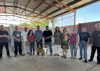 Vega del Henares culmina las obras de mejora en Hogar Amigo, reafirmando su compromiso con el bienestar animal
