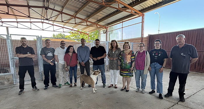 Vega del Henares culmina las obras de mejora en Hogar Amigo, reafirmando su compromiso con el bienestar animal