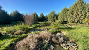 12 días12 razones para decir NO a las macrogranjas en el Valle del Mesa