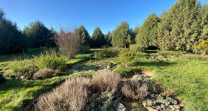 12 días12 razones para decir NO a las macrogranjas en el Valle del Mesa