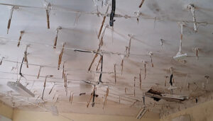 AIKE denuncia el abandono del colegio de Usanos 2 AIKE denuncia el abandono del colegio de Usanos