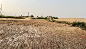 Asaja Cuenca exige a Agroseguro peritaciones ajustadas a las producciones aseguradas