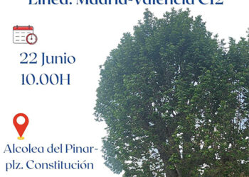 Ayuntamientos de pueblos de Guadalajara afectados por la supresión de paradas de autobús convocan una concentración el 22 de junio en Alcolea
