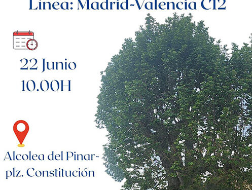 Ayuntamientos de pueblos de Guadalajara afectados por la supresión de paradas de autobús convocan una concentración el 22 de junio en Alcolea