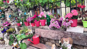 Cogolludo premia a las ganadoras del IV Concurso de Embellecimiento de Fachadas y Balcones 2 Cogolludo premia a las ganadoras del IV Concurso de Embellecimiento de Fachadas y Balcones