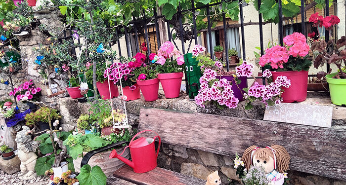 Cogolludo premia a las ganadoras del IV Concurso de Embellecimiento de Fachadas y Balcones 1 Cogolludo premia a las ganadoras del IV Concurso de Embellecimiento de Fachadas y Balcones