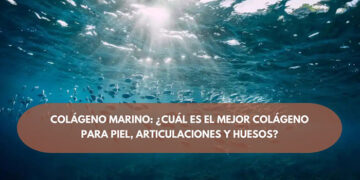 Colágeno marino ¿Cuál es el mejor colágeno para piel, articulaciones y huesos