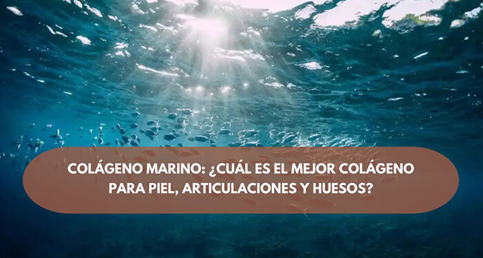 Colágeno marino: ¿Cuál es el mejor colágeno para piel, articulaciones y huesos? 1 Colágeno marino ¿Cuál es el mejor colágeno para piel, articulaciones y huesos