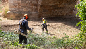 Comienza la limpieza de la ribera del Henares con la previsión de retirar hasta 250 toneladas de residuos vegetales
