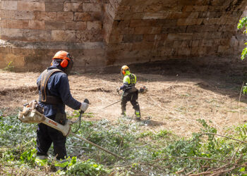Comienza la limpieza de la ribera del Henares con la previsión de retirar hasta 250 toneladas de residuos vegetales