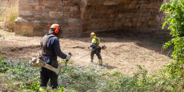 Comienza la limpieza de la ribera del Henares con la previsión de retirar hasta 250 toneladas de residuos vegetales