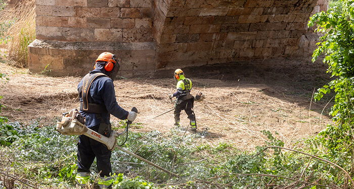 Comienza la limpieza de la ribera del Henares con la previsión de retirar hasta 250 toneladas de residuos vegetales