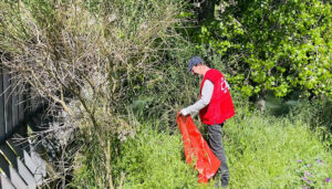 Cruz Roja celebra en Día del Medio Ambiente en la provincia de Cuenca con actividades en la naturaleza