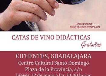 Descubre el mundo del vino con una cata gratuita en Cifuentes