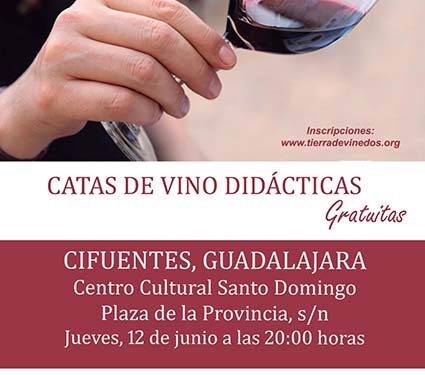 Descubre el mundo del vino con una cata gratuita en Cifuentes 1 Descubre el mundo del vino con una cata gratuita en Cifuentes
