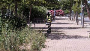 El Ayuntamiento de Azuqueca contrata a una empresa para reforzar el desbroce de alcorques y aceras