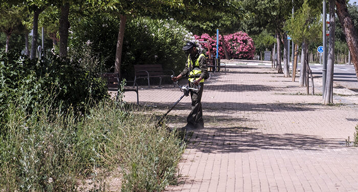 El Ayuntamiento de Azuqueca contrata a una empresa para reforzar el desbroce de alcorques y aceras