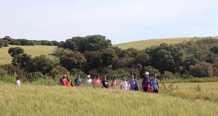 El Ayuntamiento de Cabanillas organiza un calendario de rutas saludables para mayores durante el verano 1 El Ayuntamiento de Cabanillas organiza un calendario de rutas saludables para mayores durante el verano