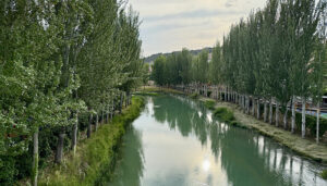 El elevado caudal del río obliga a suspender las Vacas por el Tajo de Trillo