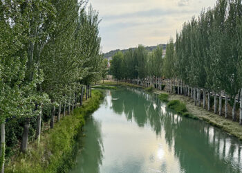 El elevado caudal del río obliga a suspender las Vacas por el Tajo de Trillo