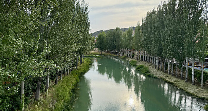 El elevado caudal del río obliga a suspender las Vacas por el Tajo de Trillo