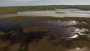 'El escarabajo verde' estrena la última entrega de 'Ley de la Restauración de la Naturaleza' con la Laguna del Hito como protagonista