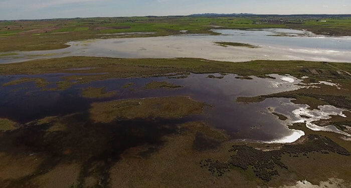 'El escarabajo verde' estrena la última entrega de 'Ley de la Restauración de la Naturaleza' con la Laguna del Hito como protagonista