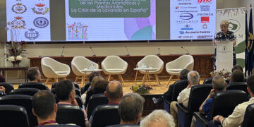 El sector aromáticas reclama más apoyo de las administraciones públicas para evitar la desaparición del cultivo de la lavanda