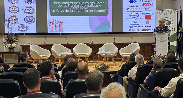 El sector aromáticas reclama más apoyo de las administraciones públicas para evitar la desaparición del cultivo de la lavanda