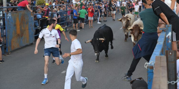 Yunquera culmina con éxito el fin de semana grande de las Fiestas de San Pedro 2025 1 Encierro urbano